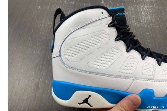  302370-103 Jordan  302370-103 9 Powder Retro 1227